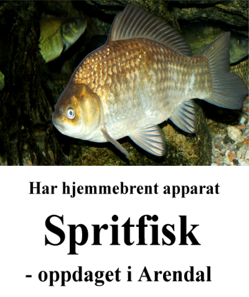 Thumbnail Image 1