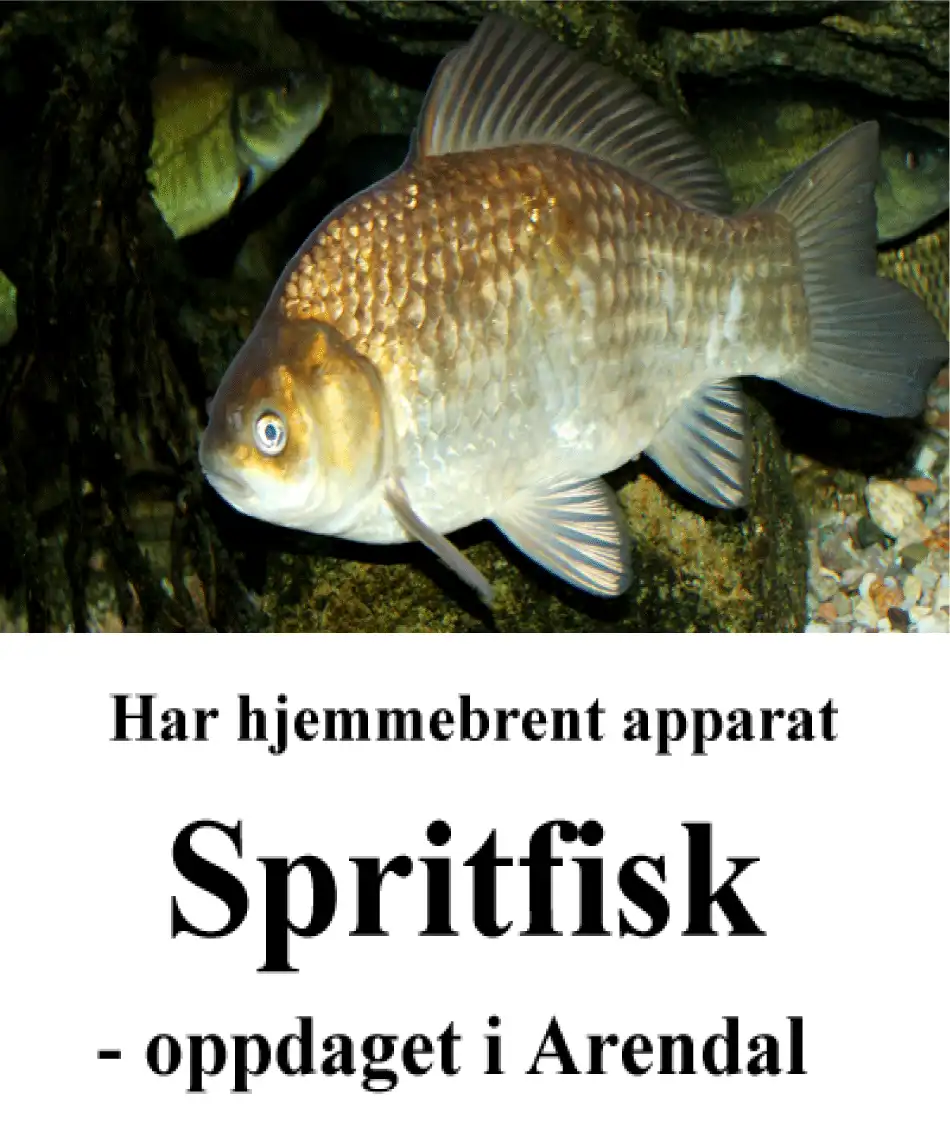 Thumbnail Image 1