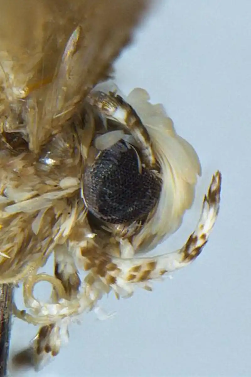 Thumbnail Image 1