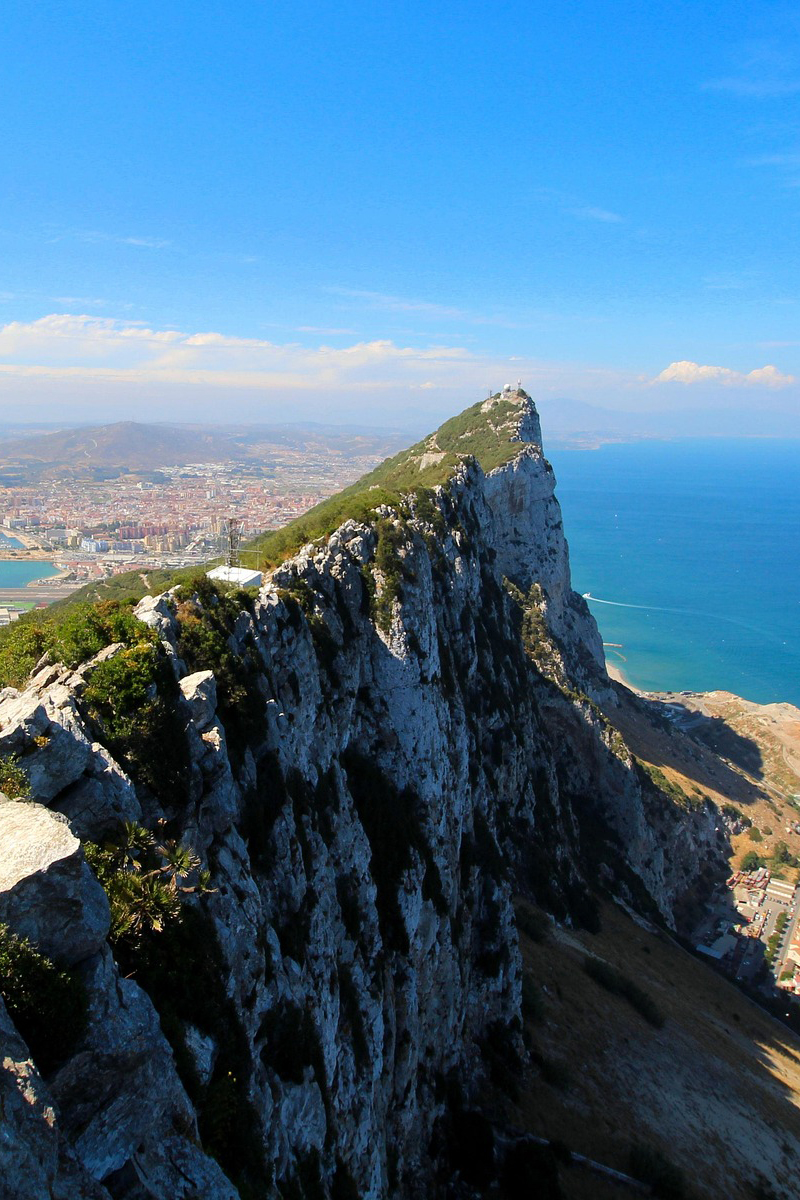 Thumbnail Image 1